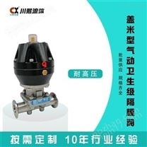 衛(wèi)生級安全閥